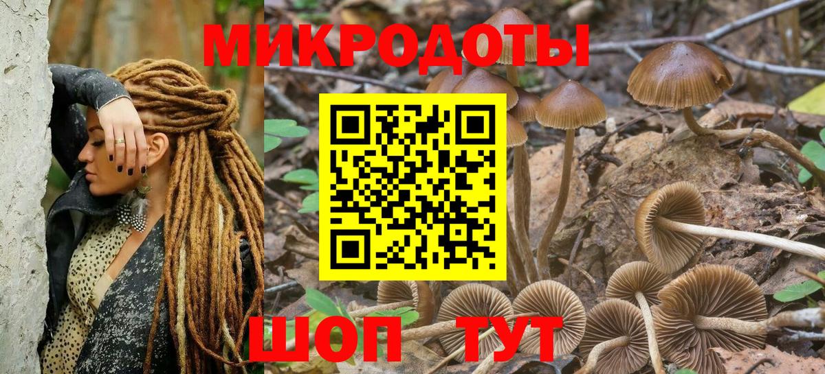 Псилоцибиновые грибы Psilocybine cubensis Урюпинск
